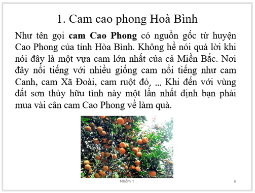 Các loại cây trái đặc sản của quê em (ảnh 3)