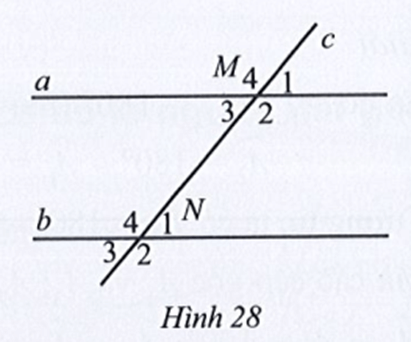 Quan sát Hình 28, biết a // b, góc M3 bằng 50 độ